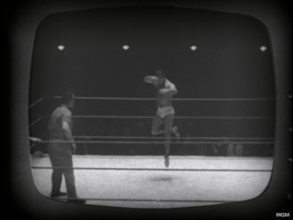 Mister Ed 4 - Tiger Davis